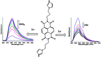 Graphical abstract: Water assisted anion chains and anion dependent fluorescence emission in salts of N,N′-bis(3-imidazol-1-ylpropyl)naphthalenediimide