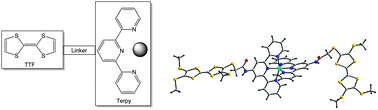 Graphical abstract: Terpyridine–tetrathiafulvalene hybrid ligands and their electroactive metal complexes