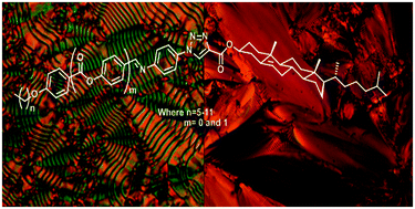 Graphical abstract: Synthesis and comparative study on phase transition behavior of triazole-cored liquid crystals armed with cholesterol and double or triple aromatic rings systems