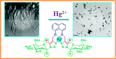 Graphical abstract: Design and synthesis of sugar-triazole low molecular weight gels as mercury ion sensor