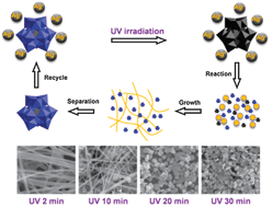 Graphical abstract: Green synthesis of silver nanowires via ultraviolet irradiation catalyzed by phosphomolybdic acid and their antibacterial properties