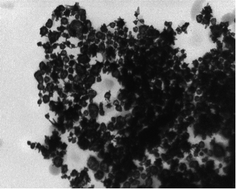 Graphical abstract: Effects of gold nanoparticle shape on the aggregation and fluorescence behaviour of water soluble zinc phthalocyanines