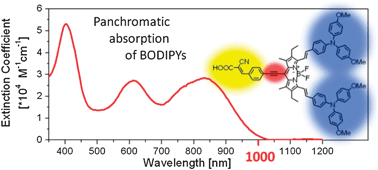 Graphical abstract: Synthesis of donor-substituted meso-phenyl and meso-ethynylphenyl BODIPYs with broad absorption