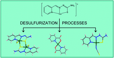 Graphical abstract: Desulfurization processes of thiosemicarbazonecopper(ii) derivatives in acidic and basic aqueous media