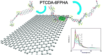 Graphical abstract: Synthesis and photoluminescence properties of polybenzoxazoles containing perylenebisimide functionalized graphene nanosheets via stacking interactions