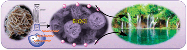 Graphical abstract: Facile template-free and fast refluxing synthesis of 3D desertrose-like BiOCl nanoarchitectures with superior photocatalytic activity