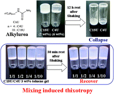 Graphical abstract: Mixing induced thixotropy of a two-component system of alkylurea organogelators having different alkyl chains