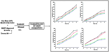 Graphical abstract: Soy flour nanoparticles for controlled drug delivery: effect of crosslinker and montmorillonite (MMT)