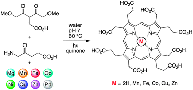 Graphical abstract: Catalytic diversification upon metal scavenging in a prebiotic model for formation of tetrapyrrole macrocycles