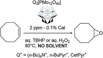 Graphical abstract: Investigation of induction times, activity, selectivity, interface and mass transport in solvent-free epoxidation by H2O2 and TBHP: a study with organic salts of the [PMo12O40]3− anion