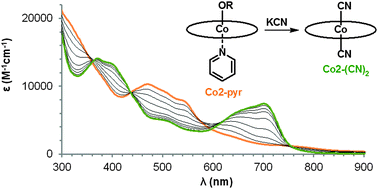 Graphical abstract: Serendipitous synthetic entrée to tetradehydro analogues of cobalamins