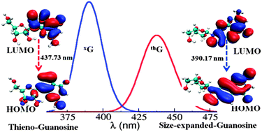 Graphical abstract: Structural, electronic and photophysical properties of analogous RNA nucleosides: a theoretical study