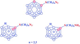 Graphical abstract: Synthesis of new ω-amino- and ω-azidoalkyl carboranes