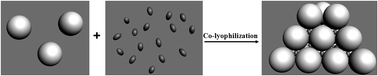 Graphical abstract: Improving the properties of β-galactosidase from Aspergillus oryzae via encapsulation in aggregated silica nanoparticles