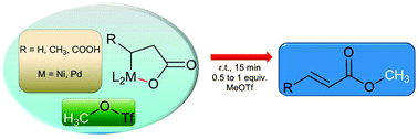 Graphical abstract: Liberation of methyl acrylate from metallalactone complexes via M–O ring opening (M = Ni, Pd) with methylation agents