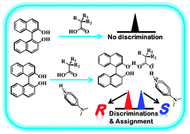 Graphical abstract: Ternary ion-pair complexation: a protocol for chiral discrimination and the assignment of absolute configuration of chiral hydroxy acids