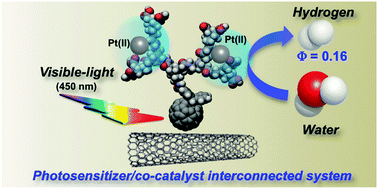 Graphical abstract: Photosensitized hydrogen evolution from water using single-walled carbon nanotube/fullerodendron/Pt(ii) coaxial nanohybrids