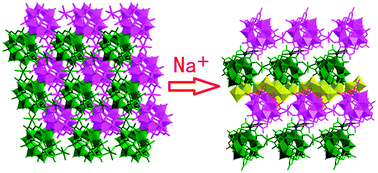Graphical abstract: Two new 3-D boratopolyoxovanadate architectures based on the [V12B16O50(OH)8]12− cluster with different metal linkers