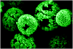 Graphical abstract: Hollow micro/nanostructured materials prepared by ion exchange synthesis and their potential applications