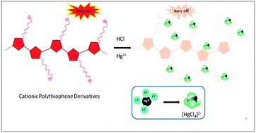 Graphical abstract: Highly sensitive detection of Hg2+ in aqueous solution using cationic polythiophene derivatives