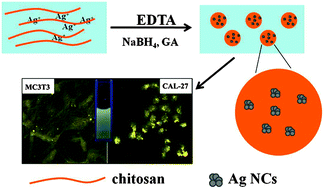 Graphical abstract: Facile preparation of fluorescent Ag-clusters–chitosan-hybrid nanocomposites for bio-applications