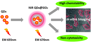 Graphical abstract: CuInS2 quantum dots@silica near-infrared fluorescent nanoprobe for cell imaging