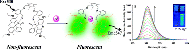 Graphical abstract: Fluorescent organic nanoparticles (FONs) of rhodamine-appended dipodal derivative: highly sensitive fluorescent sensor for the detection of Hg2+ in aqueous media