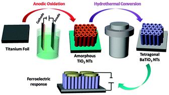 Graphical abstract: Synthesis of ferroelectric BaTiO3 tube-like arrays by hydrothermal conversion of a vertically aligned TiO2 nanotube carpet