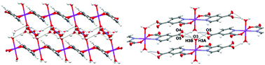 Graphical abstract: Self-assembly synthesis of precursors to potential open framework alkali earth metal–organic complexes