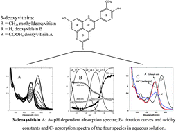 Graphical abstract: Color stability and spectroscopic properties of deoxyvitisins in aqueous solution