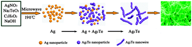 Graphical abstract: Crooked Ag2Te nanowires with rough surfaces: facile microwave-assisted solution synthesis, growth mechanism, and electrical performances