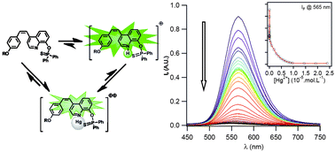 Graphical abstract: Ultra-sensitive and selective Hg2+ chemosensors derived from substituted 8-hydroxyquinoline analogues