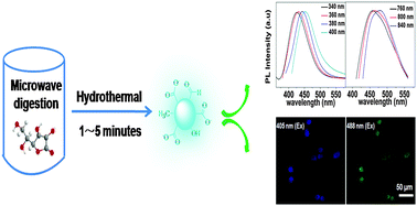 Graphical abstract: A novel rapid and green synthesis of highly luminescent carbon dots with good biocompatibility for cell imaging