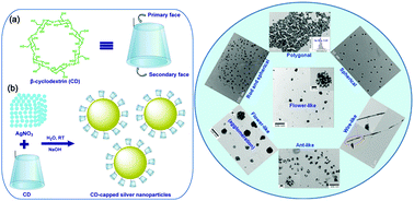 Graphical abstract: Facile synthesis of silver nanoparticles using unmodified cyclodextrin and their surface-enhanced Raman scattering activity