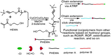 Graphical abstract: Synthesis of poly(2-hydroxyethyl methacrylate) end-capped with asymmetric functional groups via atom transfer radical polymerization