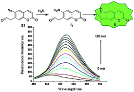 Graphical abstract: Assembly of indole fluorophore in situ for hydrogen sulfide signaling through substrate triggered intramolecular reduction–cyclization cascade: a sensitive and selective probe in aqueous solution