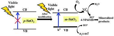 Graphical abstract: Highly photoactive SnO2 nanostructures engineered by electrochemically active biofilm