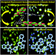 Graphical abstract: Design, synthesis and application of fluorescent 2,1,3-benzothiadiazole-triazole-linked biologically active lapachone derivatives