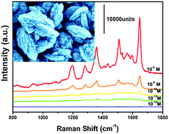 Graphical abstract: Investigation of the synthesis, SERS performance and application in glucose sensing of hierarchical 3D silver nanostructures