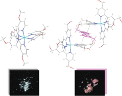 Graphical abstract: 2,2′-Bipyridine Zn(ii) complexes: effect of the 4,4′ substituents on the crystalline solid state properties