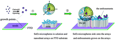 Graphical abstract: Hierarchical double-layered SnO2 film as a photoanode for dye-sensitized solar cells