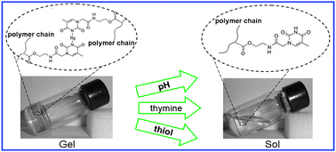 Graphical abstract: Multiresponsive hydrogel based on polyacrylamide functionalized with thymine derivatives