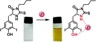 Graphical abstract: 2-Thiohydantoin containing OH and NH recognition subunits: a fluoride ion selective colorimetric sensor