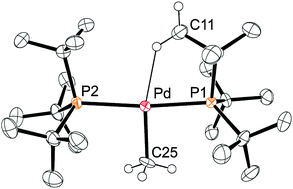Graphical abstract: Synthesis, structure and computational studies of a cationic T-shaped Pd-complex