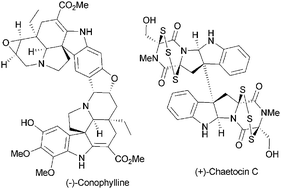 Graphical abstract: Simple indole alkaloids and those with a non-rearranged monoterpenoid unit