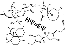 Graphical abstract: Walking in the woods with quantum chemistry – applications of quantum chemical calculations in natural products research