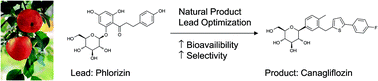 Graphical abstract: Industrial natural product chemistry for drug discovery and development