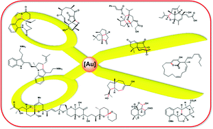 Graphical abstract: Strategic innovation in the total synthesis of complex natural products using gold catalysis