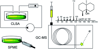 Graphical abstract: Capturing volatile natural products by mass spectrometry