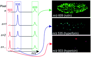 Graphical abstract: Mass spectrometry imaging of plant metabolites – principles and possibilities